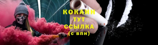 сатива Балахна