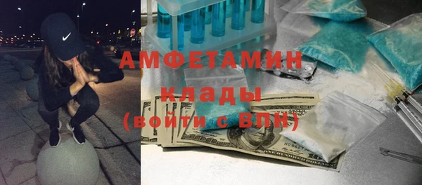 сатива Балахна